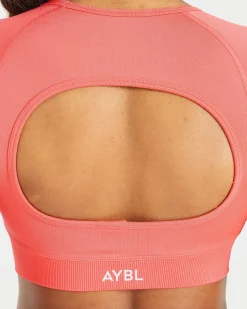 Adapt Seamless Crop Top