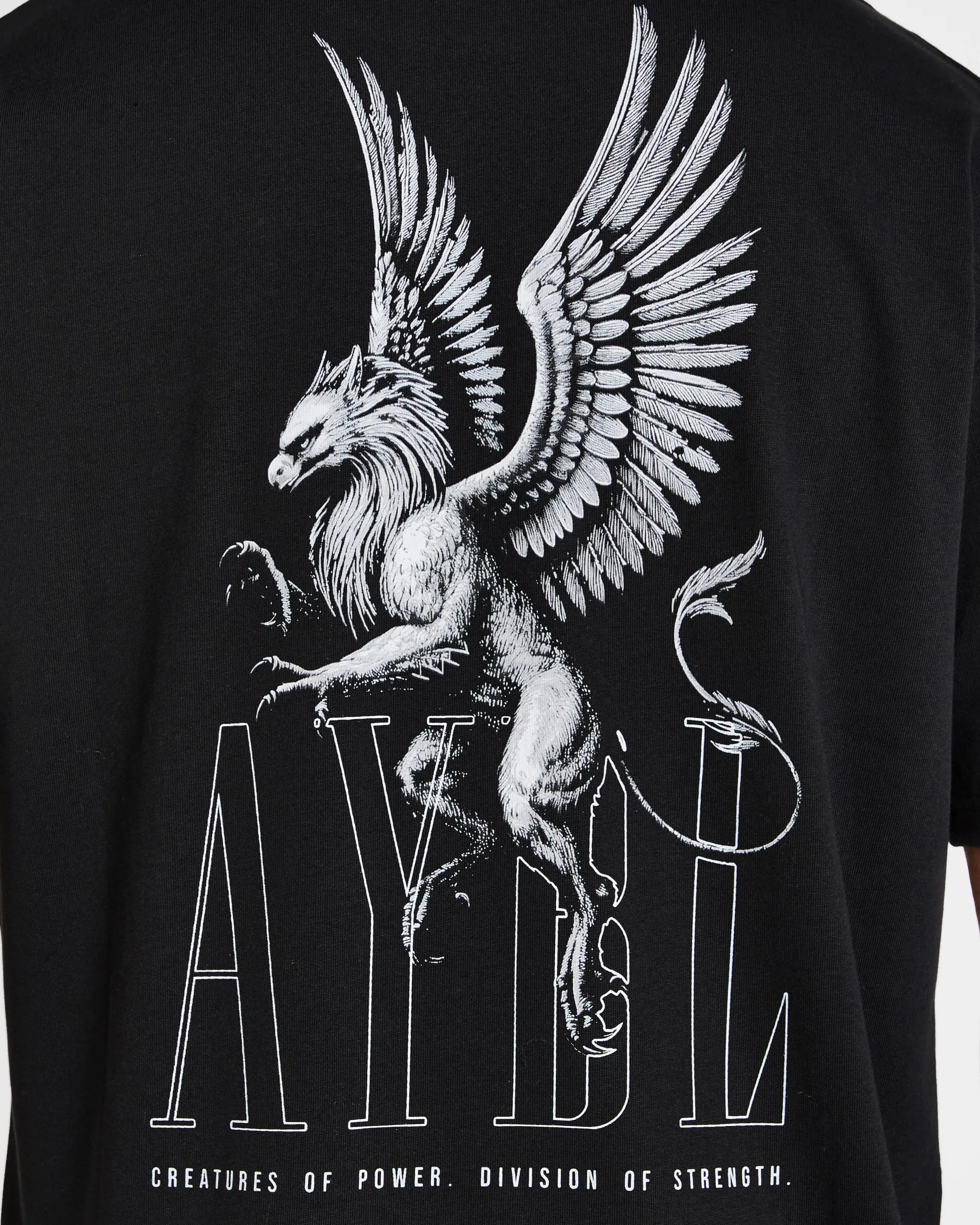 Creatures Of Power Oversized T Shirt